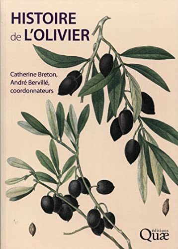 Histoire de l'olivier