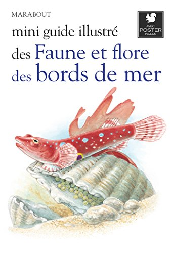 Mini guide illustré des faune et flore des bords de mer