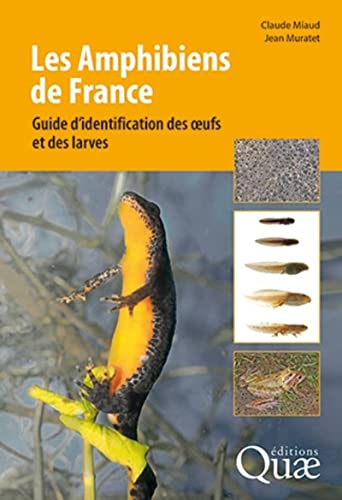 Les amphibiens de France