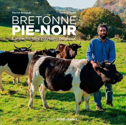 Bretonne Pie-Noir