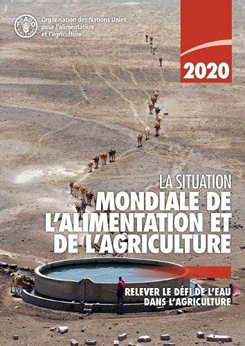 La situation mondiale de l’alimentation et de l’agriculture 2020