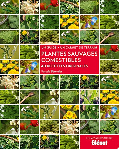 Plantes sauvages comestibles