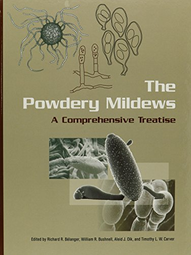 THE POWDERY MILDEWS, 1