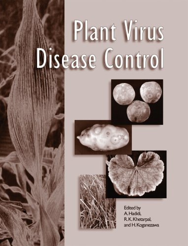 PLANT VIRUS DISEASE CONTROL, 1