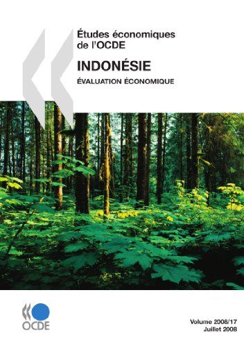 INDONESIE 2008
