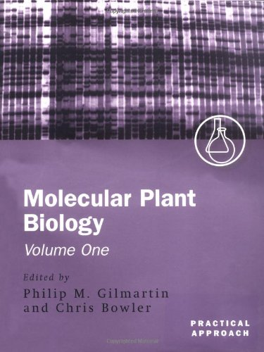 MOLECULAR PLANT BIOLOGY, 2