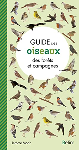 Guide des oiseaux des forêts et campagnes