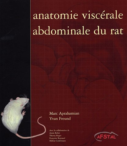 ANATOMIE VISCERALE ABDOMINALE DU RAT, 1