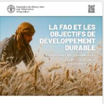 La FAO et les objectifs de développement durable