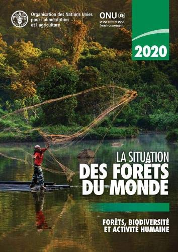La situation des forêts du monde 2020