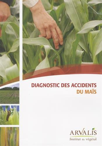 Diagnostic des accidents du maïs
