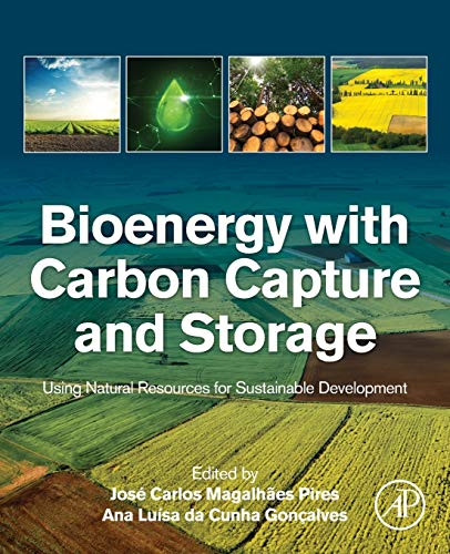 Bioenergy with carbon capture and storage
