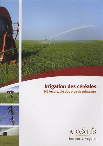 Irrigation des céréales